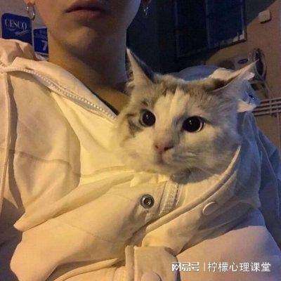 伊朗停火相关疑似内幕交易引关注